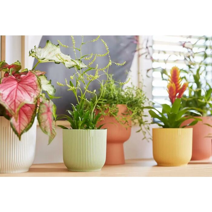 Blumentopf Vibes Fold rund mini grün Ø 7 cm