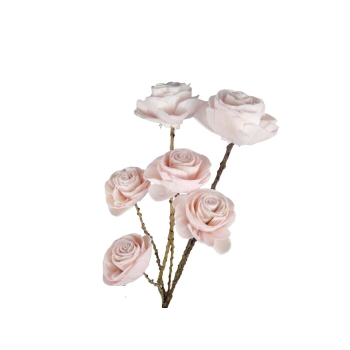 Bunch Shola Beauty Rose hellrosa 60 cm - HBX natural living Bunch Shola Beauty Rose hellrosa 60 cm - HBX natural living