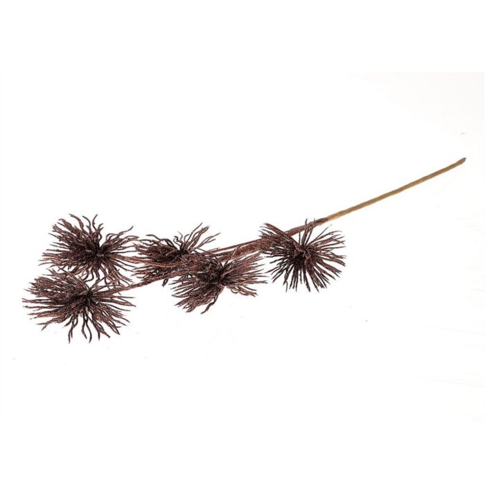 Stem Clematis bruin 75 cm - HBX Natural Living Stem Clematis bruin 75 cm - HBX Natural Living
