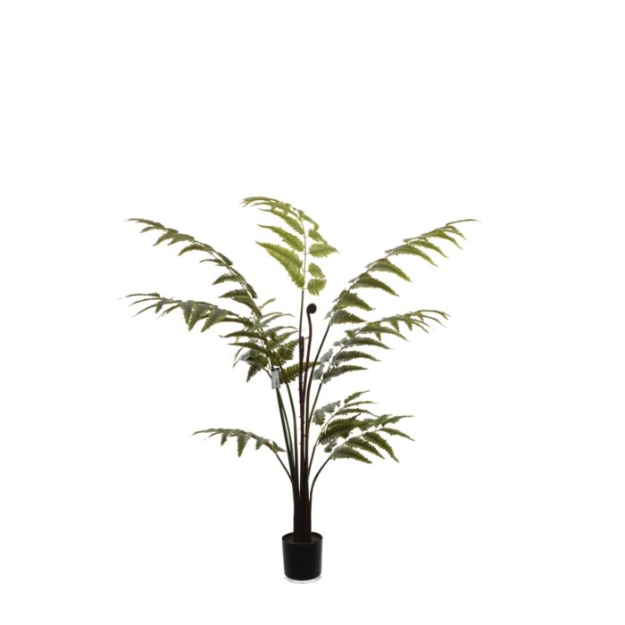 LEATHER FERN TREE W/129 LVS GRÜN