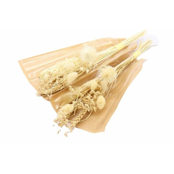 Luxuriöser Trockenblumenstrauß