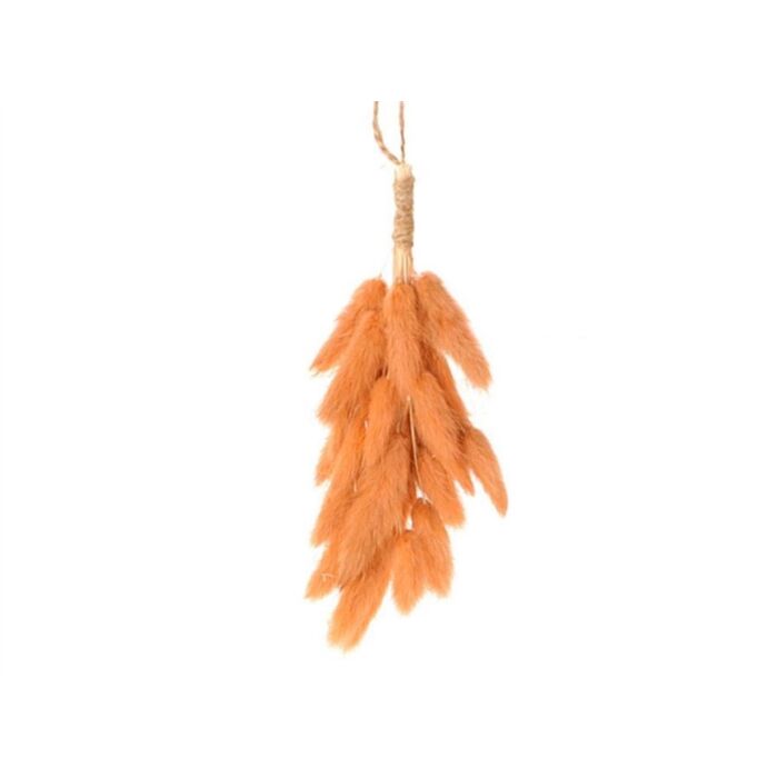 Hängende Lagurus Spule oranje 20 cm - HBX Natural Living