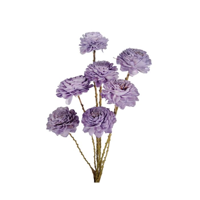 Strauß Shola Ranunkel 6 cm - HBX Natural Living