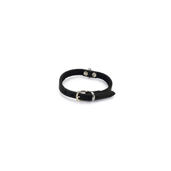 Beeztees Halsband leer 32cm10mm zwart