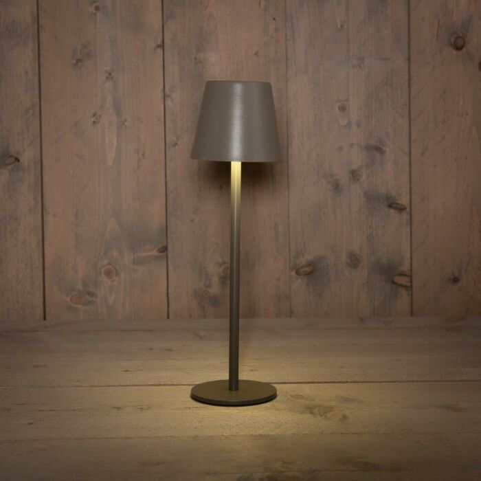 Tragbare LED-Tischleuchte mit USB-Kabel grau 36,5 cm - Anna's Collection