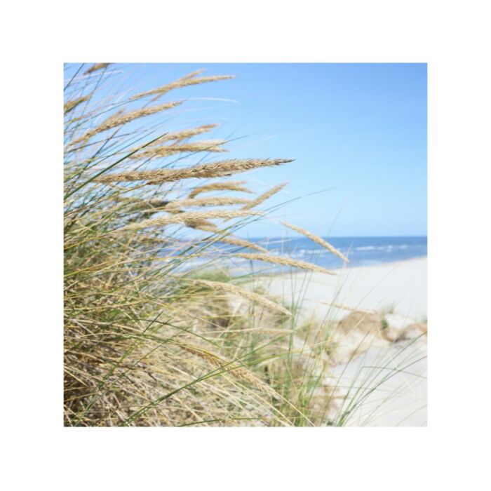 Outdoor-Leinwand Strand Strand Rasen L 58 cm