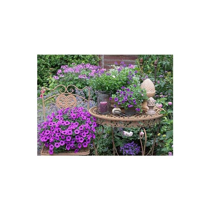 Outdoor-Leinwand lila Blumen 78 cm