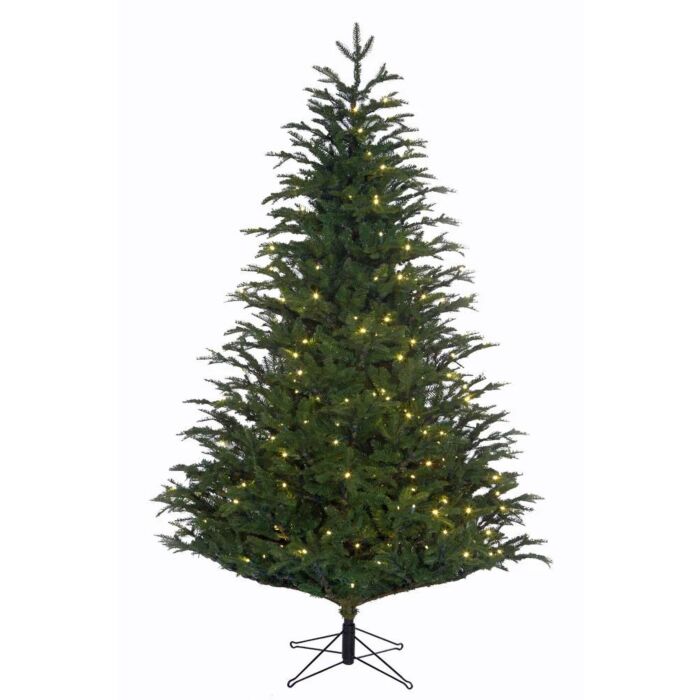 Weihnachtsbaum Frasier LED grün 365 cm - Black Box Weihnachtsbaum Frasier LED grün 365 cm - Black Box