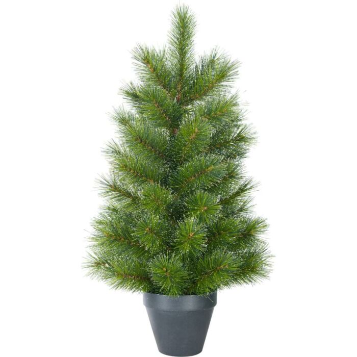 Weihnachtsbaum Glendon potted grün 90 cm - Black Box Weihnachtsbaum Glendon potted grün 90 cm - Black Box