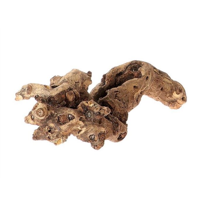 Basic Kuwa Root 40-50 cm - HBX Natural Living Basic Kuwa Root 40-50 cm - HBX Natural Living