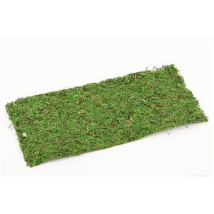 Sheet Asia Moss L38.0W18.0 Sheet Asia Moss L38.0W18.0
