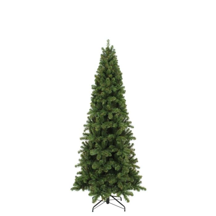 Weihnachtsbaum Pencil Pine grün 185 cm - Triumph Tree