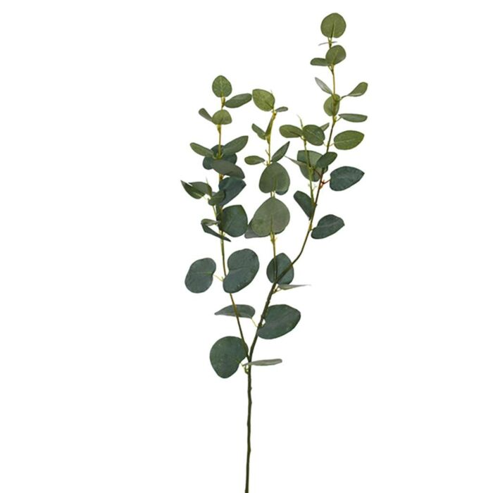 Eukalyptus medium grau 75 cm