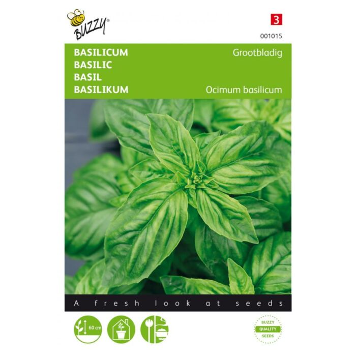 Buzzy® Basilicum Grootbladig Buzzy® Basilicum Grootbladig