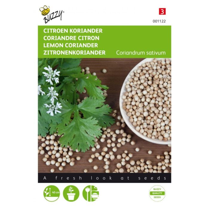 Koriander Zitrone niedrig – Buzzy