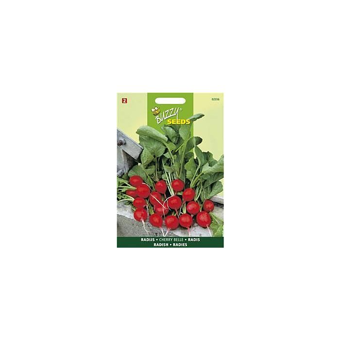 Buzzy® Radies Cherry Belle Buzzy® Radies Cherry Belle