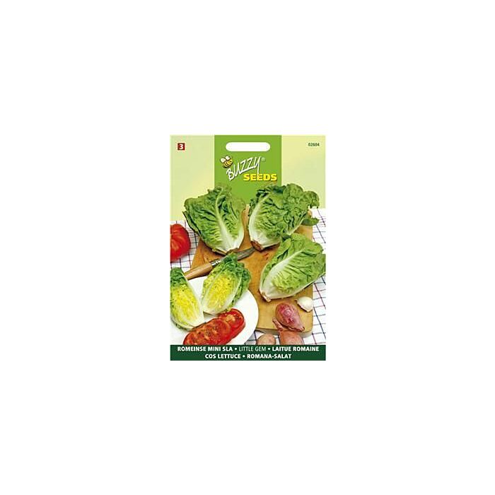 Buzzy® Salat Little Gem Buzzy® Salat Little Gem
