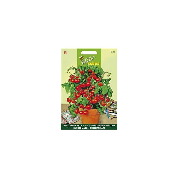 Buzzy® Buschtomate Maja Buzzy® Buschtomate Maja