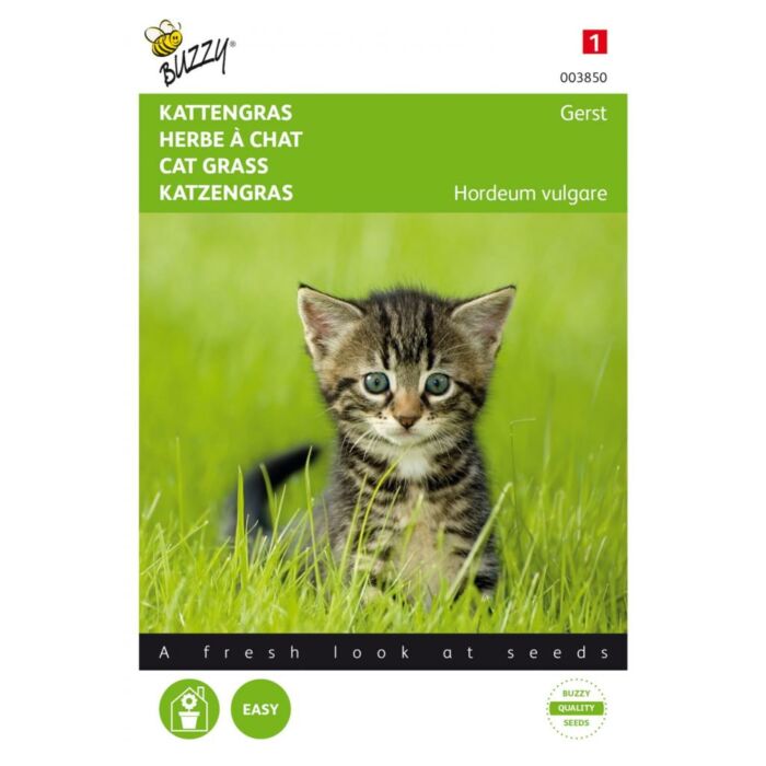 Buzzy® Kattengras Gerst