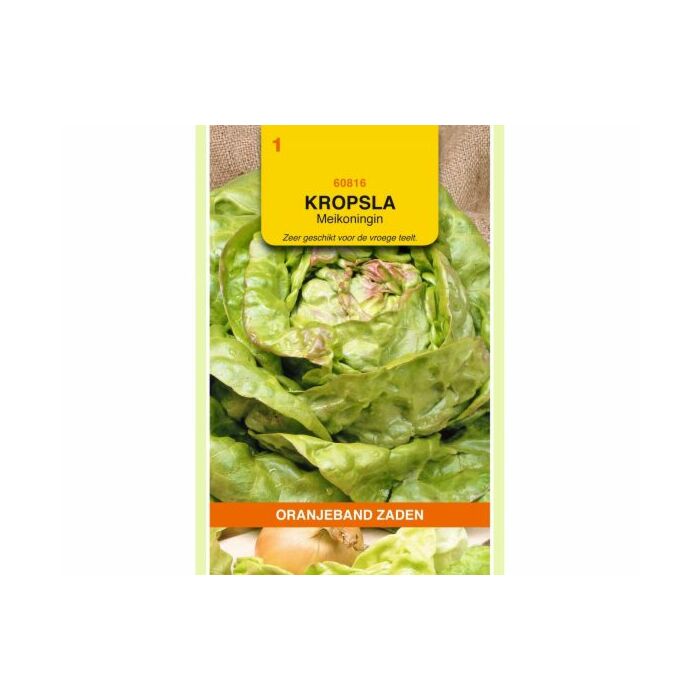 Kropsla meikoningin 3g