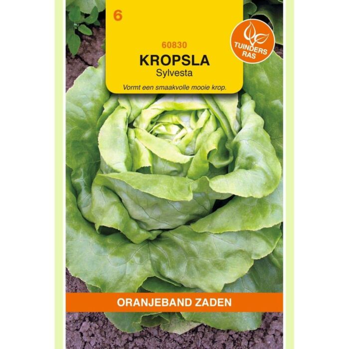 Kopfsalat Sylvesta 0,4g