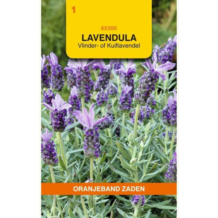 Lavendel Stoechas Sancho Panza 0,1g Lavendel Stoechas Sancho Panza 0,1g