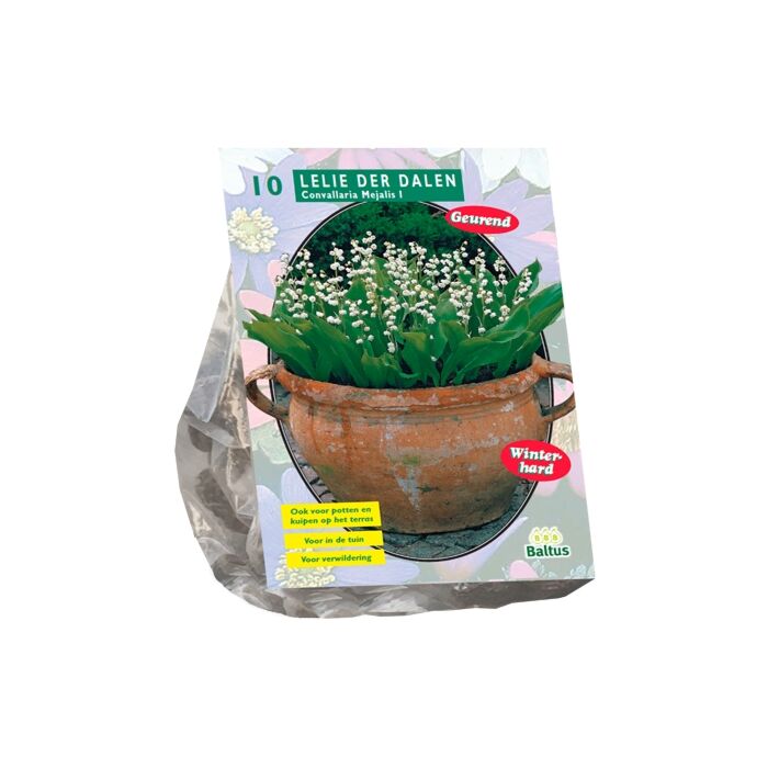 Convallaria Majalis (NJ) pro 10