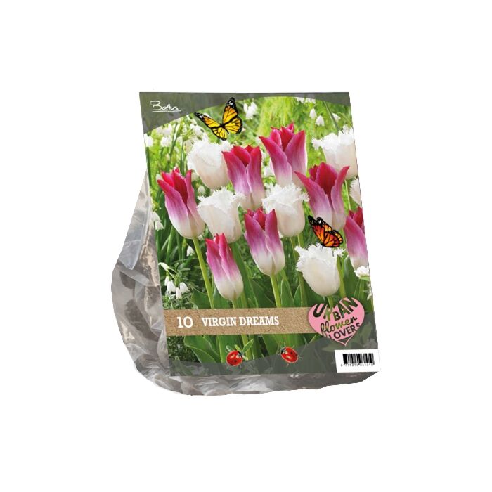 Urban Flowers - Virgin Dreams per 10