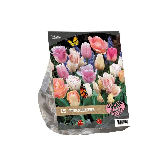 Urban Flowers - Pink Pleasure per 15