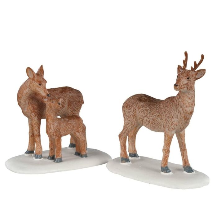 LEMAX DEER FAMILY, SATZ VON 2
