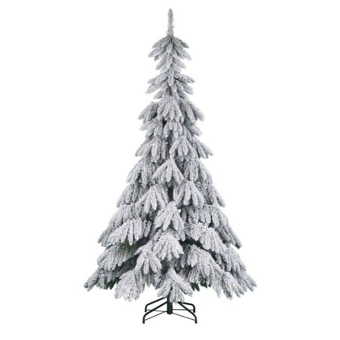 Weihnachtsbaum Breithorn grün 300 cm - Black Box Weihnachtsbaum Breithorn grün 300 cm - Black Box