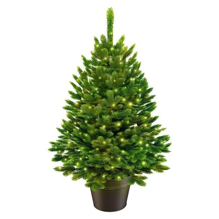 Weihnachtsbaum Premium im Topf mit LED 80 cm - ArtiTree Weihnachtsbaum Premium im Topf mit LED 80 cm - ArtiTree