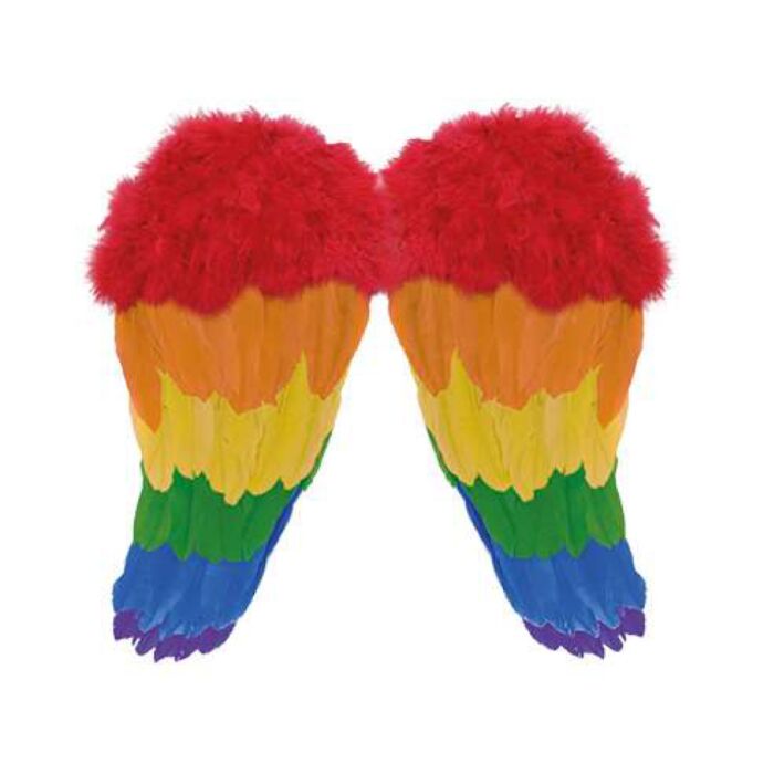 Engelsflügel Regenbogen 48 x 46 cm Engelsflügel Regenbogen 48 x 46 cm