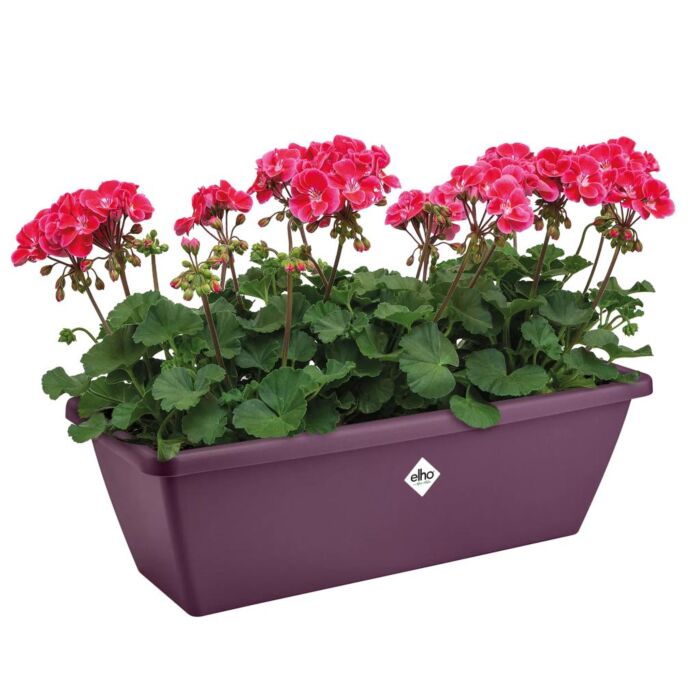 Balkonkasten Barcelona ahorn lila 70 cm - Elho Balkonkasten Barcelona ahorn lila 70 cm - Elho