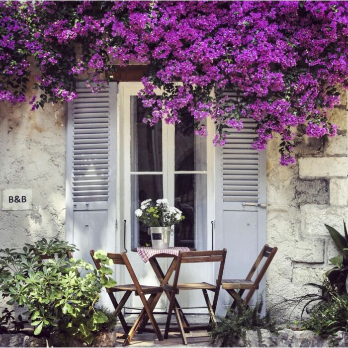 Außenleinwand Terrasse lila Blume 78 cm