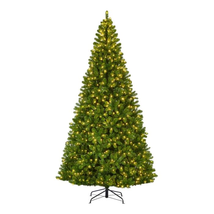 Weihnachtsbaum Charlton 1100 LED grün 370 cm - Black Box Weihnachtsbaum Charlton 1100 LED grün 370 cm - Black Box