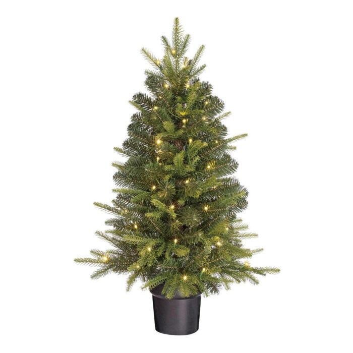 Weihnachtsbaum Grimshaw gefrostet LED B/O im Topf grün 90 cm - Black Box