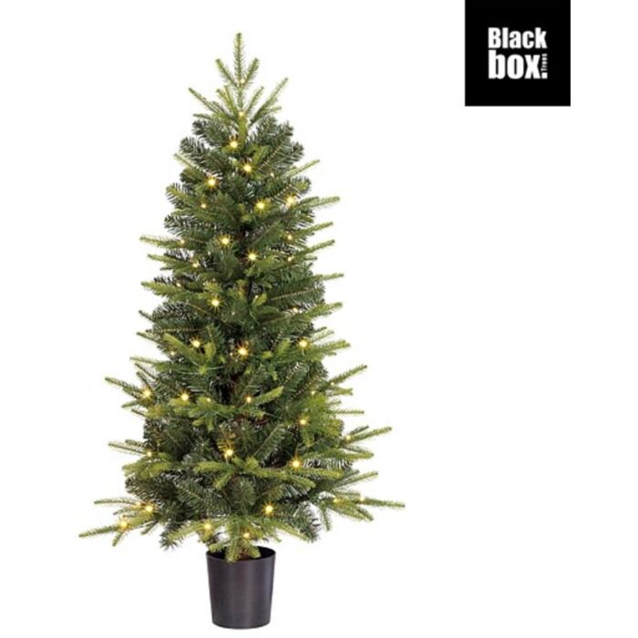 Weihnachtsbaum Grimshaw LED B/O grün 120 cm - Black Box Weihnachtsbaum Grimshaw LED B/O grün 120 cm - Black Box