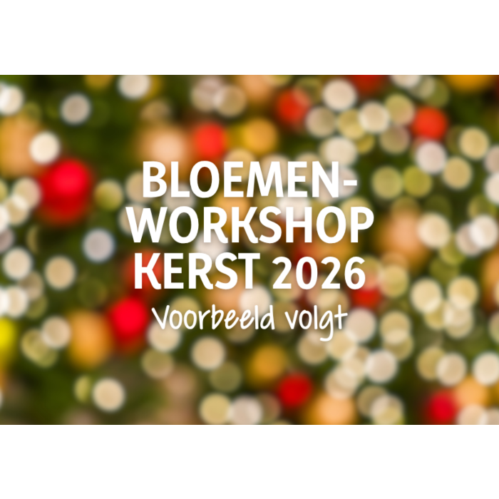 Bloemenworkshop kerst 2026 main product photo