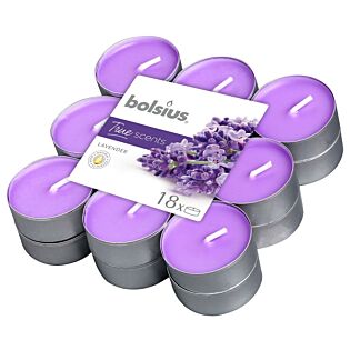 Duft-Teelichter Lavender – 4 Std. Brenndauer – Bolsius