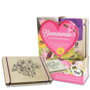 Blumenwiese f&uuml;r Bienen mit Blumenpresse - Baza