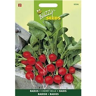 Buzzy&reg; Radies Cherry Belle