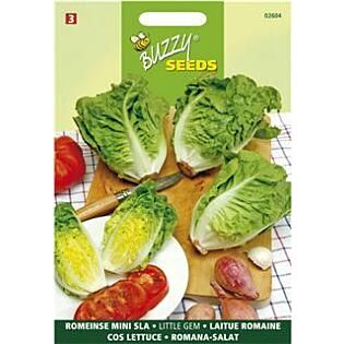 Buzzy&reg; Salat Little Gem