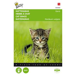 Buzzy&reg; Kattengras Gerst