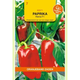 Paprika reina F1