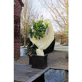 Natur Winter Cover Fleece Beige 2x10m