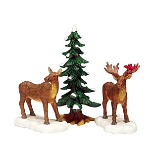 LEMAX MR AND MRS MOOSE, SATZ VON 3