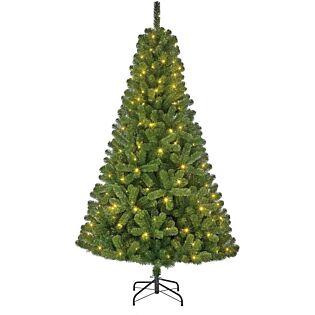 Weihnachtsbaum Charlton outdoor 470LED 240 cm - Black Box
