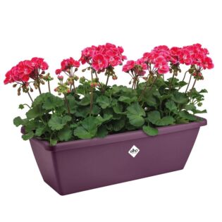 Balkonkasten Barcelona ahorn lila 70 cm - Elho