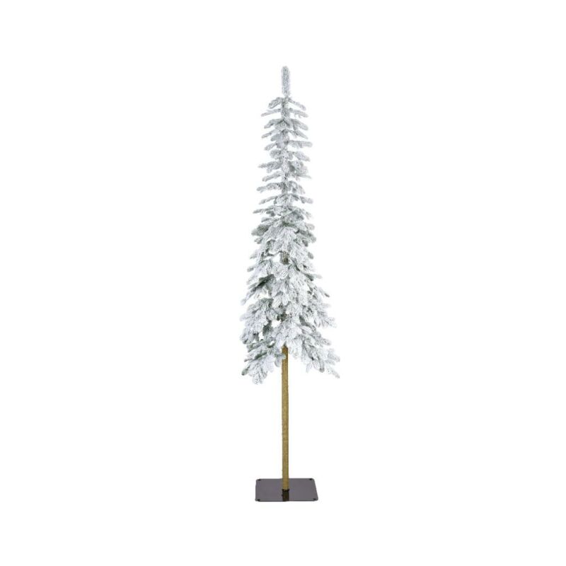 pampasgras künstlich kaufen Miscanthus Pampas Online Bestellen | Pampasgras Getrocknet Online Kaufen |  Pampasgras Deko main image 1